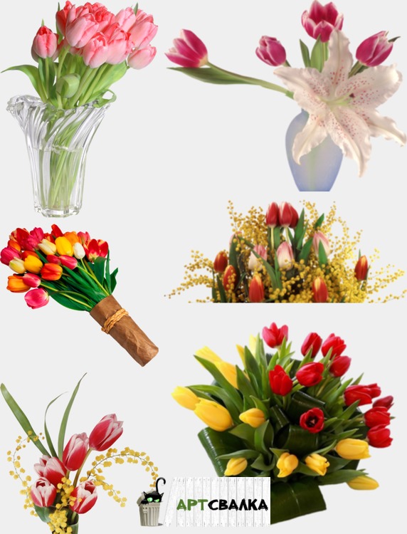 Цветы тюльпаны, тюльпаны в вазе - растровый клипарт  | Flowers tulips, tulips in a vase - raster clipart